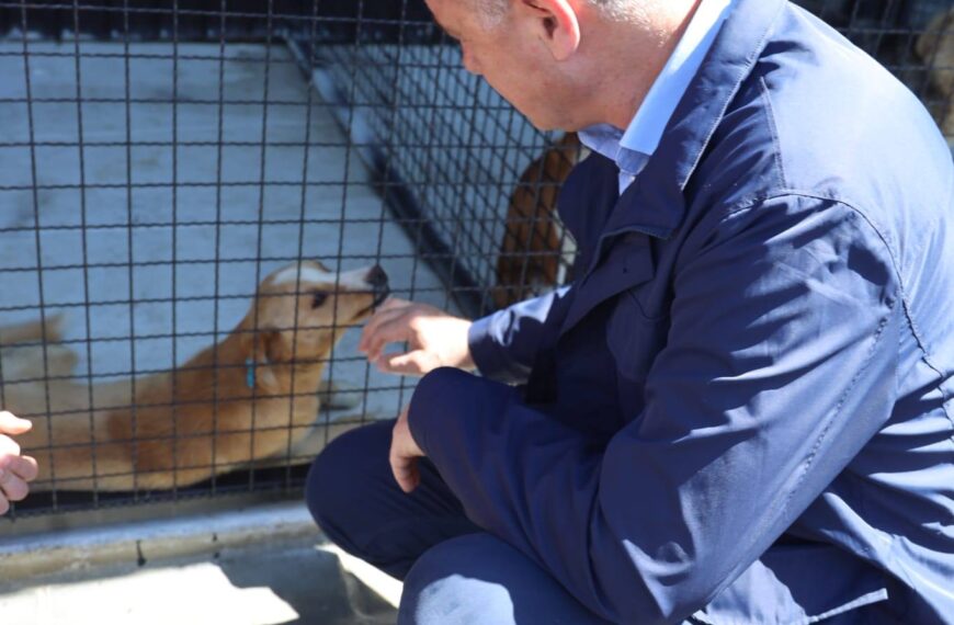 Нови Пазар добио прихватилиште за напуштене животиње: Корак ка хуманијем решењу проблема луталица