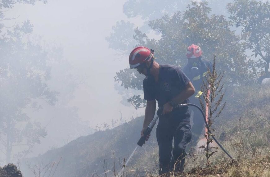 Пожар на Столовима и даље активан, екипе непрекидно на терену